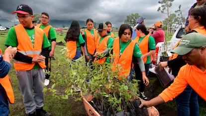 Las jornadas de reforestación de Iberdrola México