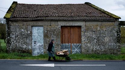 Una mujer transporta leña, en Ourense.