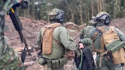 Petro contra Mordisco