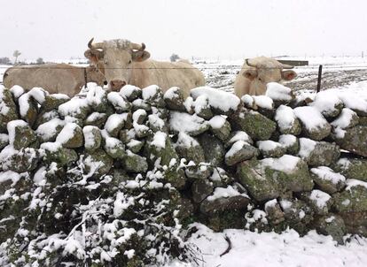 Nevada en Torrecaballeros (Segovia).