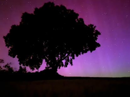 Aurora boreal vista desde Sant Guim de la Plana, en La Segarra (LLeida), en una imagen cedida por David Garganté.