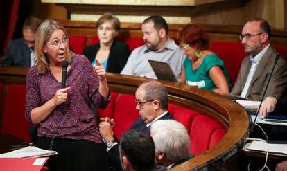 La consejera de Bienestar Social, Neus Munt&eacute;, al Parlament