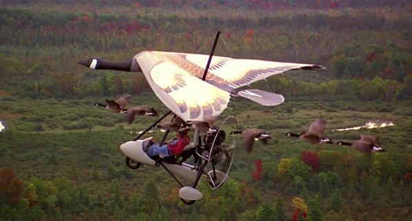 Fotograma de la película 'Fly away home' ('Volando libre'), de Carroll Ballard (1996).