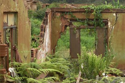 Um ano após a tragédia, o verde ressurge no vilarejo fantasma.