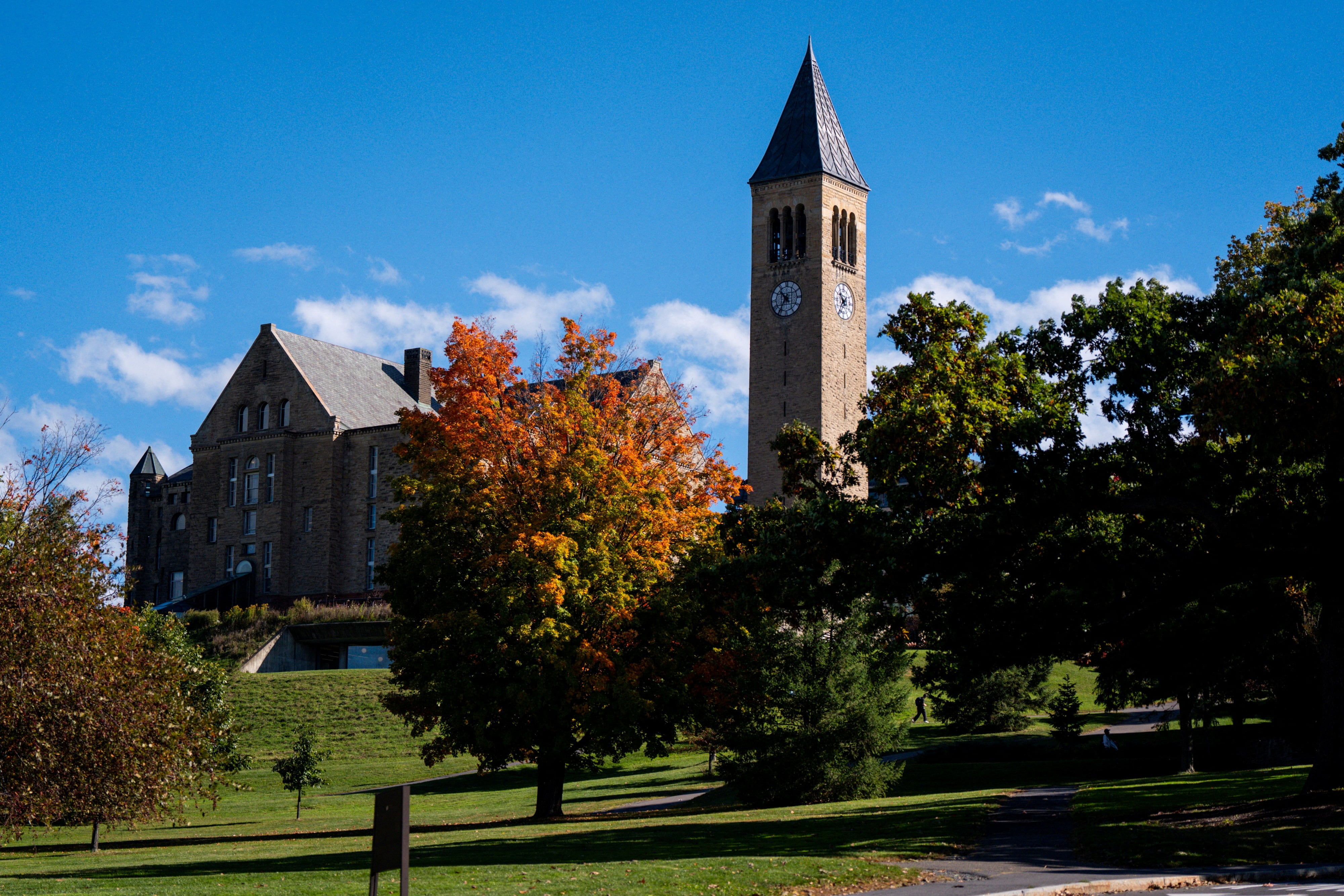 Los profesores de Cornell votan la censura a la dirección de la Universidad por su gestión de la violación múltiple de una antigua alumna