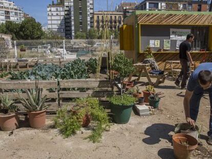 Huerto urbano en el solar del antiguo convento de les Germanetes, en la Esquerra de l’Eixample.