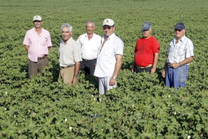 Integrantes de la cooperativa Fuente Alamillo, que explota una finca expropiada en 1988 por la Junta de Andalucía.