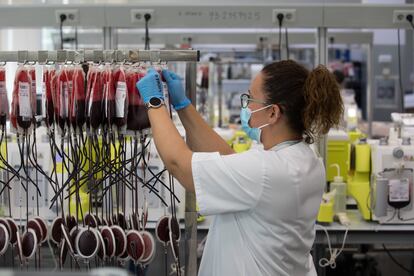 Una persona ordena las bolsas con glóbulos rojos, una vez separados de los otros dos componentes de la sangre (plasma y plaquetas) en el Centro de Transfusión de la Comunidad de Madrid.