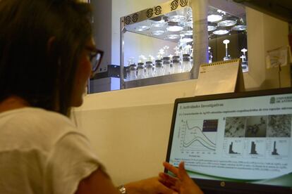 Una investigadora trabaja en el es estudio de cultivos vegetales in vitro en la Universidad de Antioquia. 
