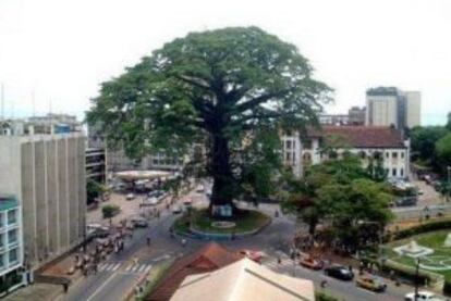 El Árbol del Algodón, en Freetown (Sierra Leona).