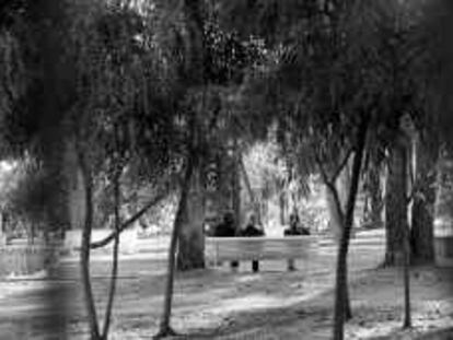 b 34254 (1/may/00) -color- Jardines de Terramar, Sitges. -foto: Vicens Gimenez.