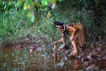 "Já tem um bocado de peixe morto, boiando, com a boca pra fora pedindo socorro", disse o cacique da aldeia Pataxó Hã-hã-hãe. Na imagem, uma mulher retira um peixe morto no Paraopeba. De acordo com o Serviço Geológico do Brasil (CPRM), a “água turva” percorre a Rio Paraopeba a uma velocidade de 1km/hora. 