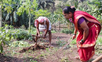 Prakash Bhoir, con su mujer, Pramila, una de las detenidas este sábado, cultivan la tierra en Aarey.