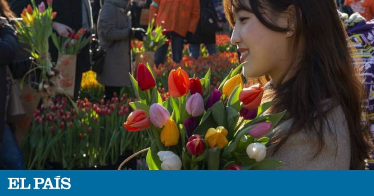 ¿de Dónde Salen Los Colores De Las Flores Ciencia El PaÍs