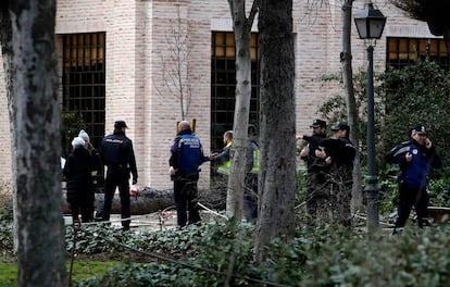 Policías y sanitarios, en la zona del accidente en el parque del Retiro.