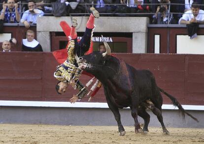 El diestro Iv&aacute;n Fandi&ntilde;o, cogido por su primero durante la corrida de la Prensa celebrada dentro del marco de la Feria de San Isidro.