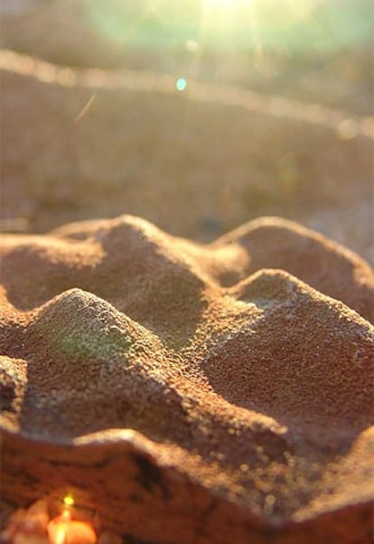 Estromatolitos en Pilbara (Australia).
