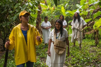 Habitantes del Amazonas recorren los cacaotales durante la visita del chef.