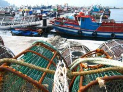 Barcos de pesca en Galicia. 