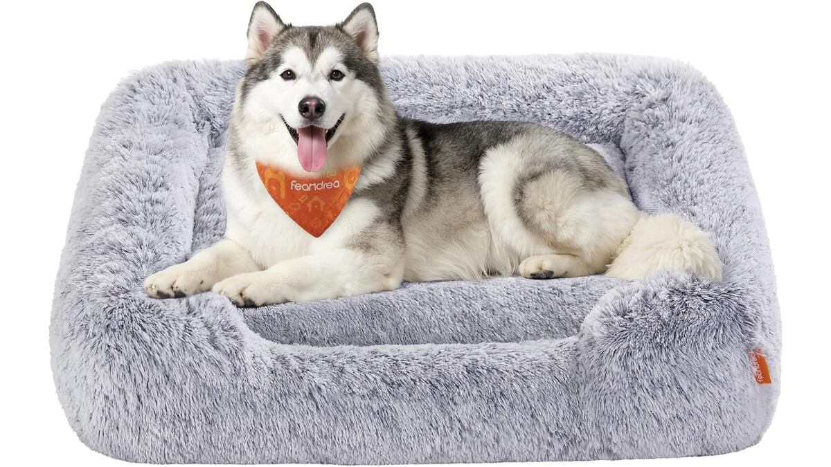 Cama para perros.