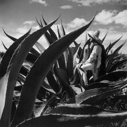 Actor de <i>La Escondida entre magueyes</i>, foto de Juan Rulfo.