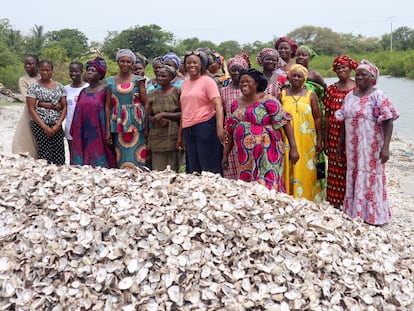 Un grupo de mujeres de la asociación gambiana TRY Oyster Women’s Association en la Reserva natural de Tanbi, que se extiende en torno a la desembocadura del río Gambia.