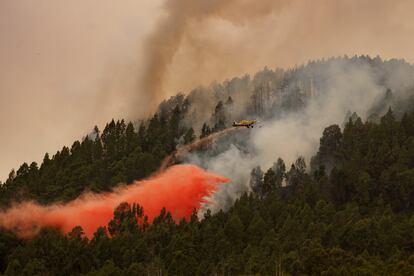 Un avión participaba en las labores de extinción del incendio en el municipio tinerfeño de El Rosario, muy cercano al núcleo poblacional de La Esperanza, el jueves.
