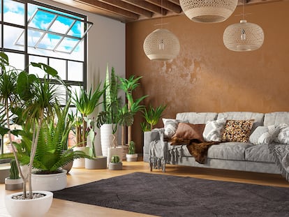 Un salón con muchas plantas, un sofá y una alfombra de pelo corto