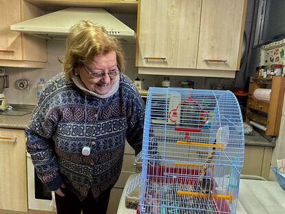 Raquel Ferrer de 88 años, pasa los días sola en su casa del Poblado Dirigido, en Fuencarral, con la compañía de su periquito 'Beethoven' y la medallita del servicio de teleasistencia municipal, colgada del cuello.