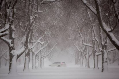 Un vehículo circula por una calle nevada en Búfalo, Nueva York.