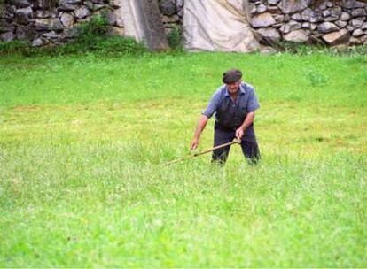 Un veterano <i>baserritarra</i> de la comarca de Tolosa siega hierba.