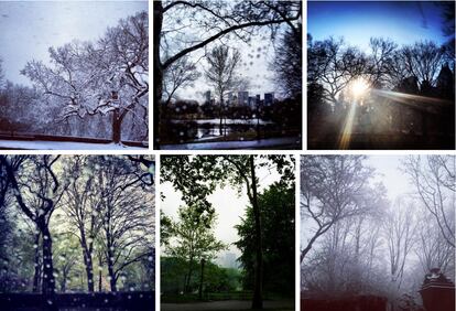 Seis de las 15 fotos que Melania publicó de Central Park desde el interior de un coche, 2013–2015.