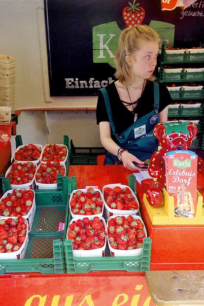 Berlín. Fresas en el barrio de Prenzlauer Berg. 