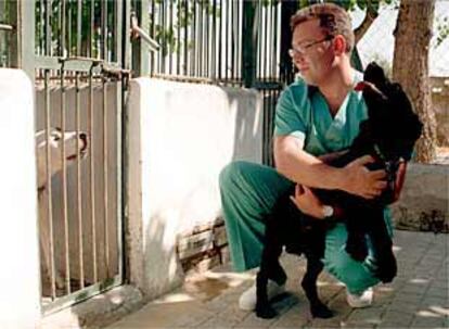 Ángel Yagüe, veterinario de la perrera municipal, abraza a un cocker ante la jaula de otro perro abandonado.