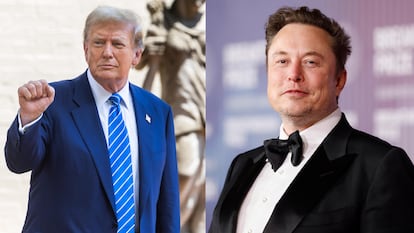 trump y elon musk