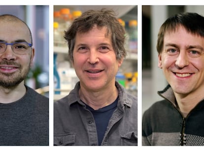 Los investigadores estadounidenses David Baker y John Jumper y el británico Demis Hassabis, que han revolucionado el estudio y el diseño de proteínas con inteligencia artificial, han sido galardonados con el Premio Fronteras del Conocimiento de la Fundación BBVA en la categoría de Biología y Biomedicina. Los tres han logrado desarrollar sistemas de aprendizaje profundo que permiten predecir la estructura tridimensional de las proteínas con una precisión sin precedentes y a una velocidad excepcional, logrando en cuestión de minutos un resultado que en el pasado suponía años de trabajo experimental en el laboratorio.