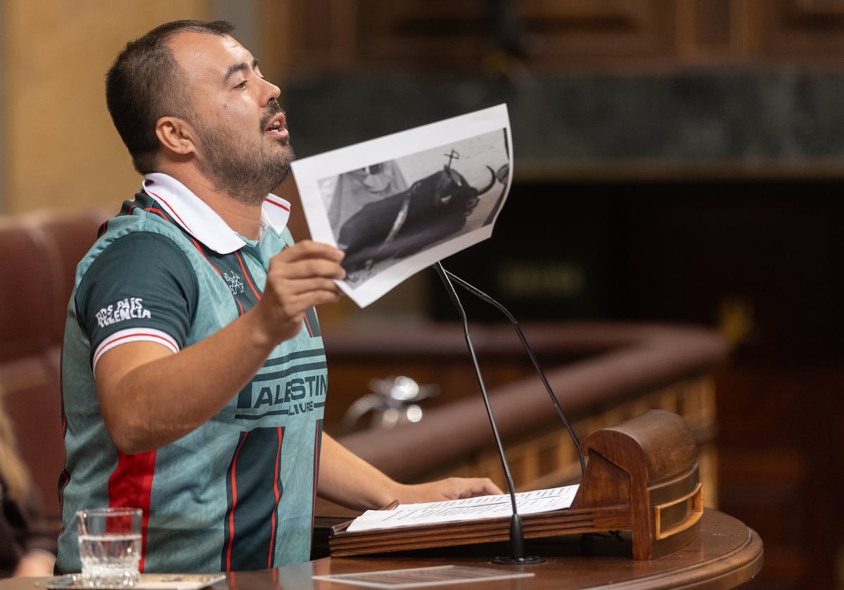 El Congreso rechaza debatir la derogación de la protección cultural a los toros con la abstención decisiva del PSOE