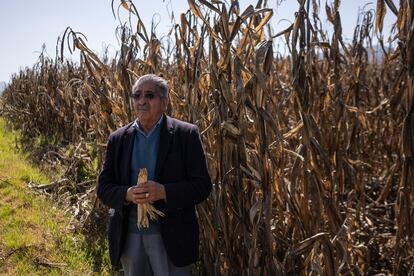 Álvaro López en un campo de maíz arruinado por las lluvias, en el Estado de México, el 20 de diciembre.