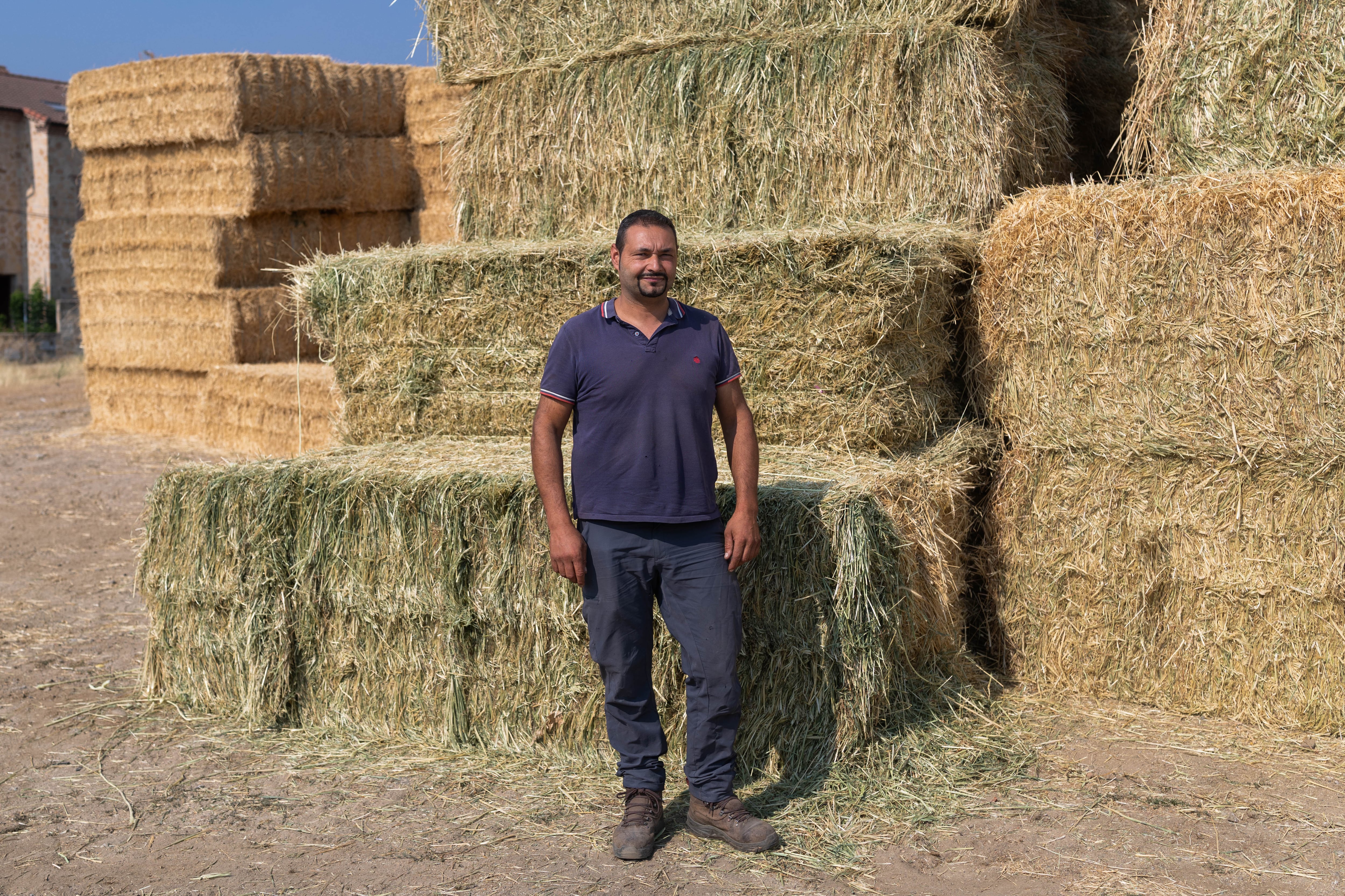 Gonzalo Muñoz, ganadero de la localidad de Navaluenga, en la provincia de Ávila, el pasado martes 28 de julio.