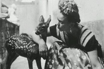 Frida Kahlo.

Granizo era el nombre del ciervo que fue mascota de la pintora mexicana y que utilizó como modelo para la obra El venado herido, con la que pretendía reflejar su dolor físico y sentimental (puedes verla en este enlace). El fotógrafo Nickolas Muray tomó la imagen en 1939.