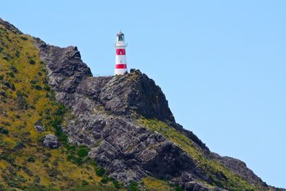 Llamativo por sus grandes franjas rojas, el faro de Cape Palliser (1897) es un agradecido reclamo para los barcos que navegan por el estrecho de Cook, junto al extremo sur de la isla Norte de Nueva Zelanda.