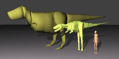 Reconstrucción de dos tiranosauros rex (<i>Sue</i>, y el más pequeño <i>Jane</i>) utilizados en la investigación sobre su tamaño, junto con una figura humana para mostrar la escala.