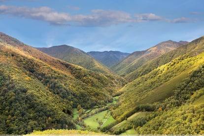 La Reserva Natural Integral de Muniellos ofrece unos colores únicos en otoño.