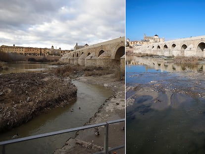 Desde la izquierda, islote de toallitas el día 19 de enero y en la actualidad la misma zona del río Guadalquivir tras su limpieza.