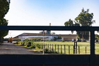 Entrada a la finca Hato Blanco Viejo, en la localidad sevillana de Aznalcázar, este miércoles.