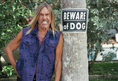 ‘I wanna be your dog’ fue uno de sus grandes éxitos al frente de los Stooges. Tampoco ha pasado tanto tiempo. Aquí Iggy Pop posa con chaleco Dsquared2.