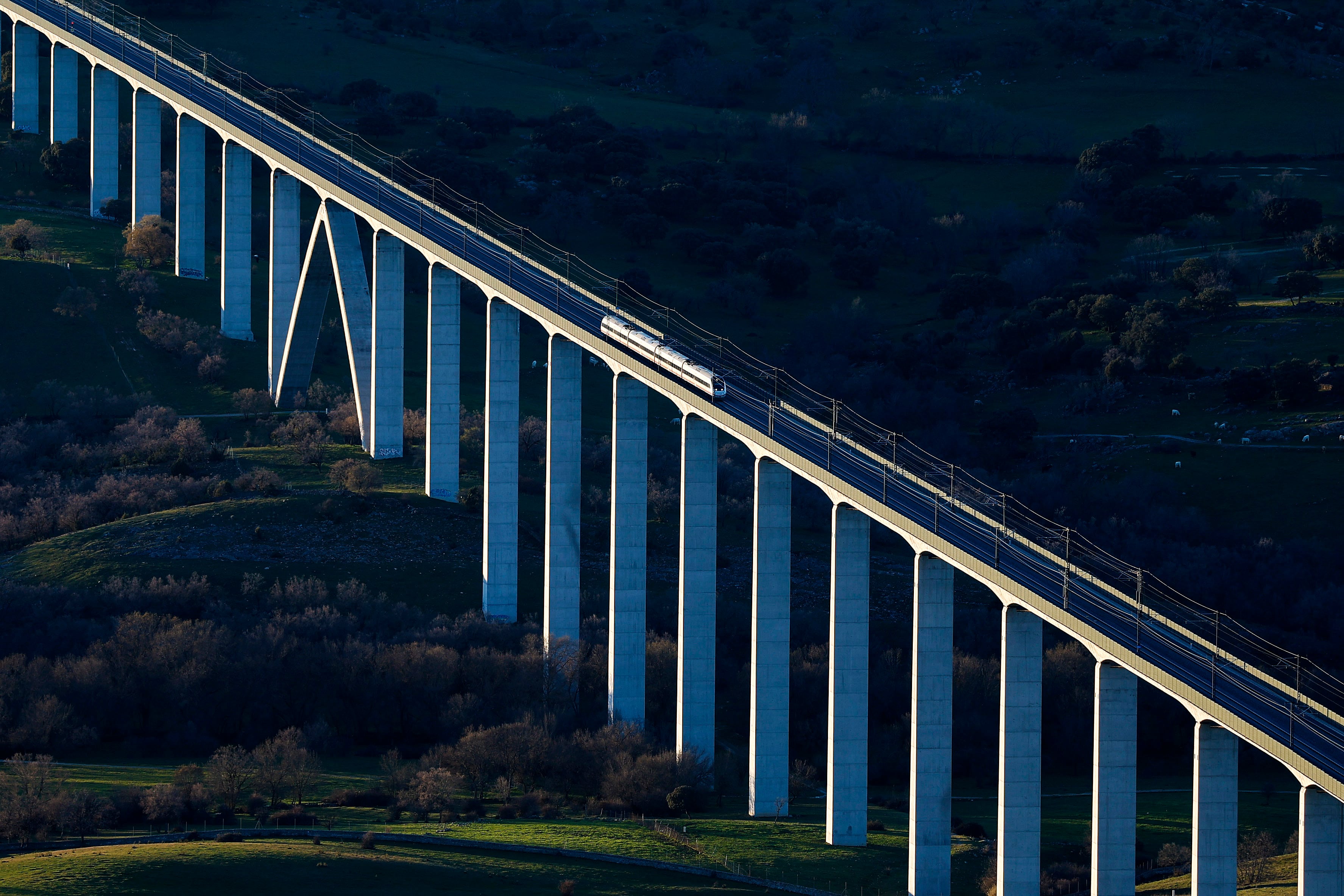 Renfe conectará Alemania con la frontera ucraniana a través de su operador checo Leo Express