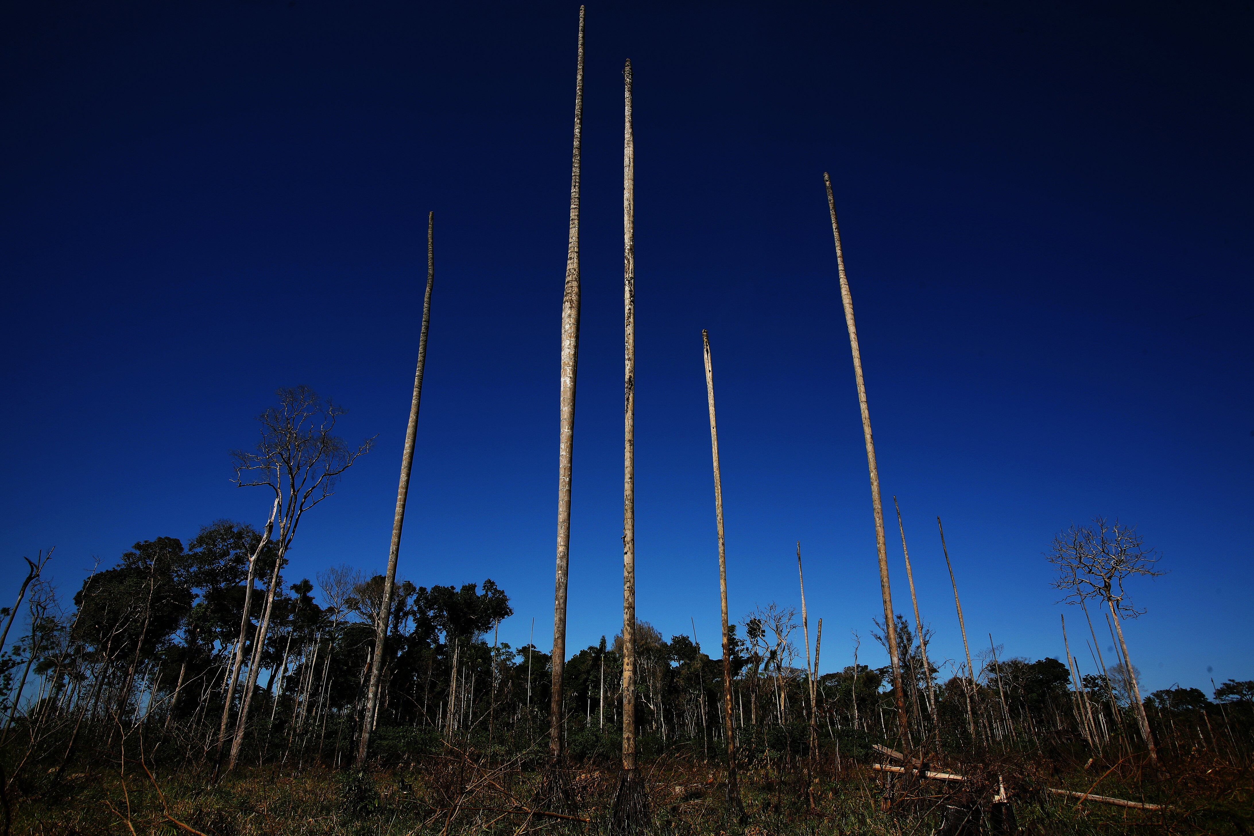 Una zona deforestada en Puerto Moldonado (Perú), tras la construcción de una sección de la carretera interoceánica, en 2007.