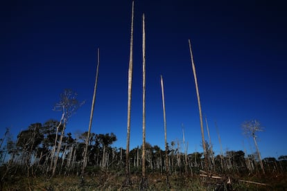 Una zona deforestada en Puerto Moldonado (Perú), tras la construcción de una sección de la carretera interoceánica, en 2007.