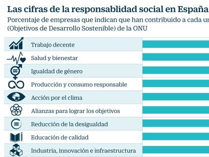 La RSC hace suyos los retos marcados por la ONU para 2030